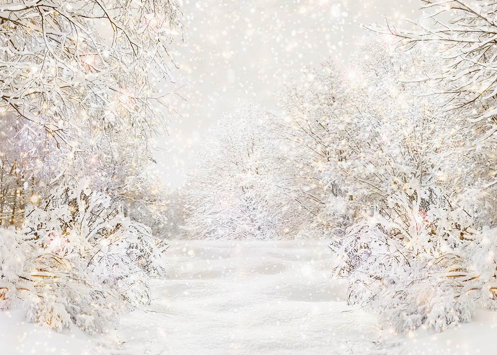 winter blizzard scenes backgrounds