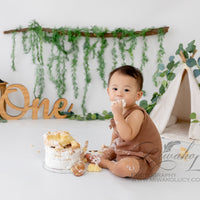 Avezano First Birthday Vine Tent Backdrop for Photography By Miwako Lucy Photography