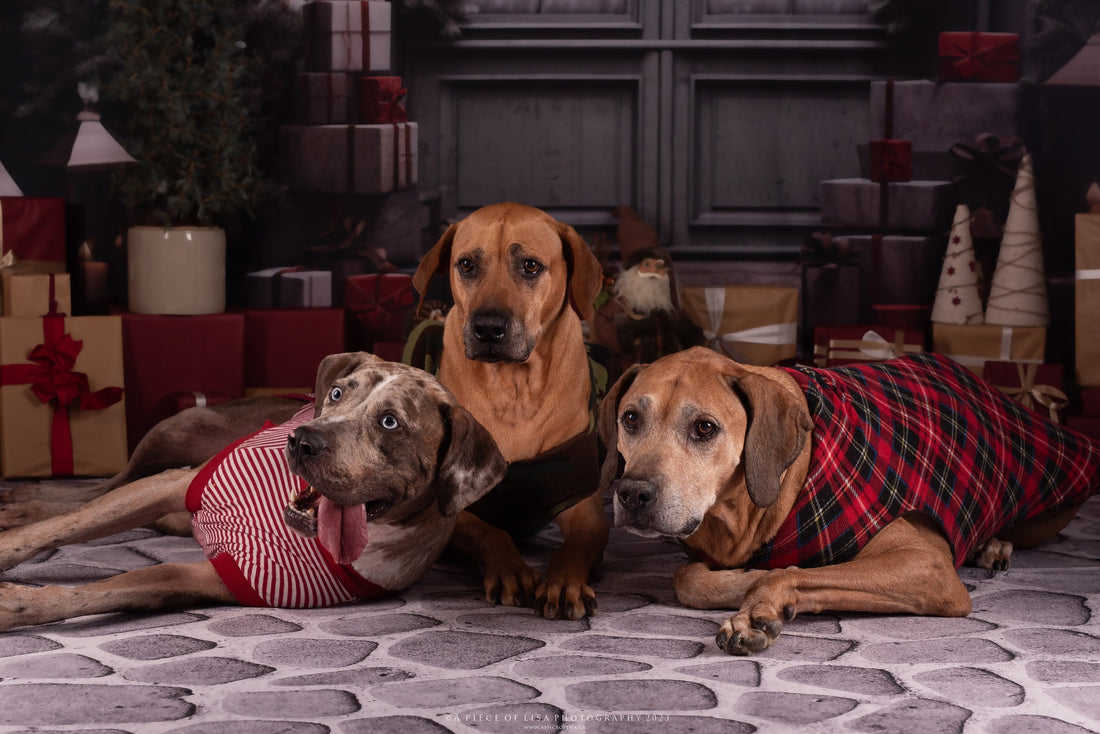 Avezano Gray Stone Floor Photography Backdrop