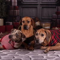 Avezano Gray Stone Floor Photography Backdrop