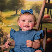 Avezano Spring Apple Orchard Photography Backdrop