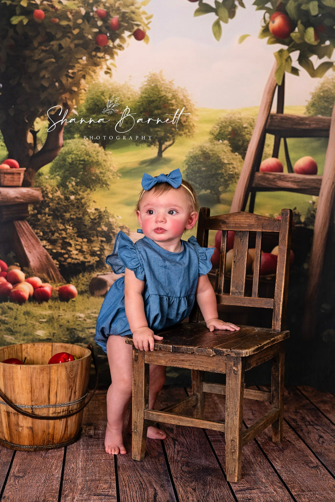 Avezano Spring Apple Orchard Photography Backdrop