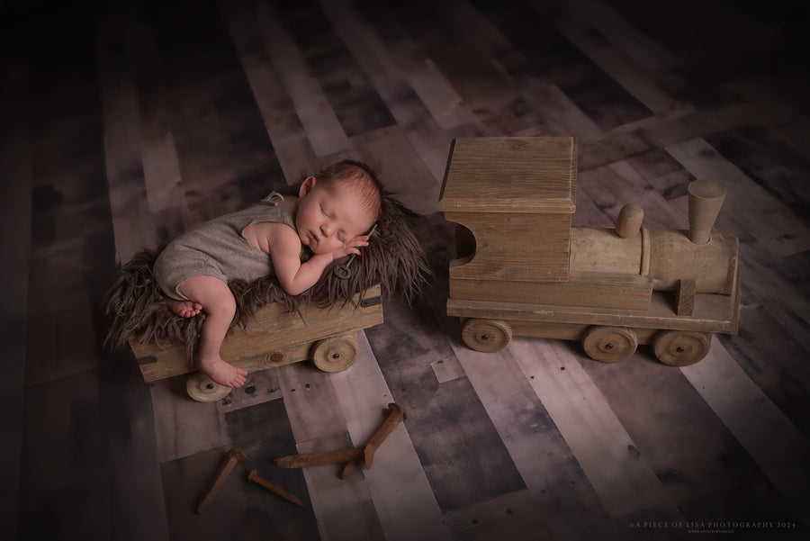 Avezano Weathered Plank Photography Backdrop Designed By Christy Faulkner