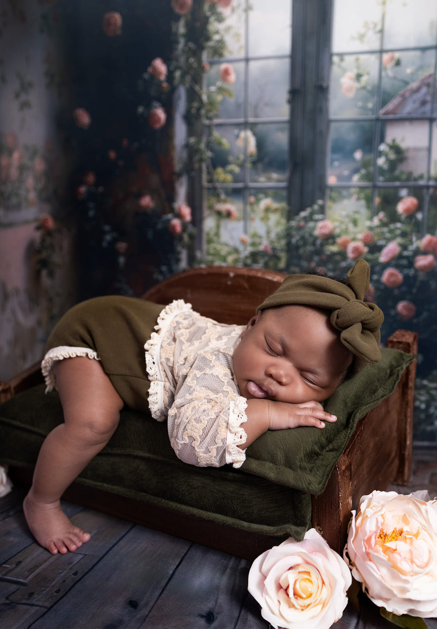 Avezano Shabby Room and Windowsill Roses Photography Backdrop