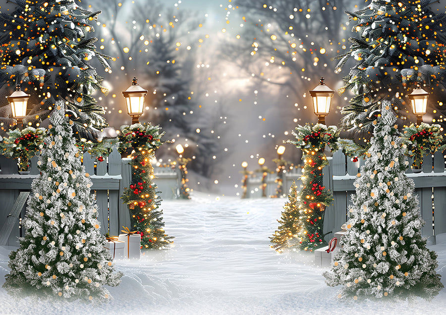 Avezano Winter Christmas Snow Photography Backdrop