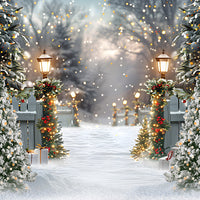 Avezano Winter Christmas Snow Lights Photography Backdrop Scene  Room Set