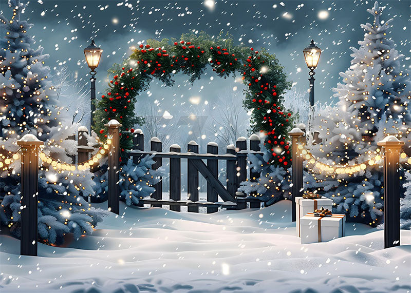 Avezano Winter Christmas Arch Photography Backdrop