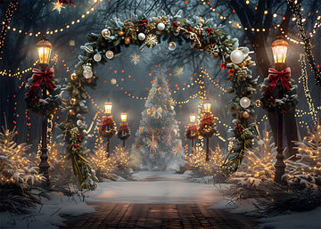 Avezano Christmas Wreath Arch Photography Backdrop