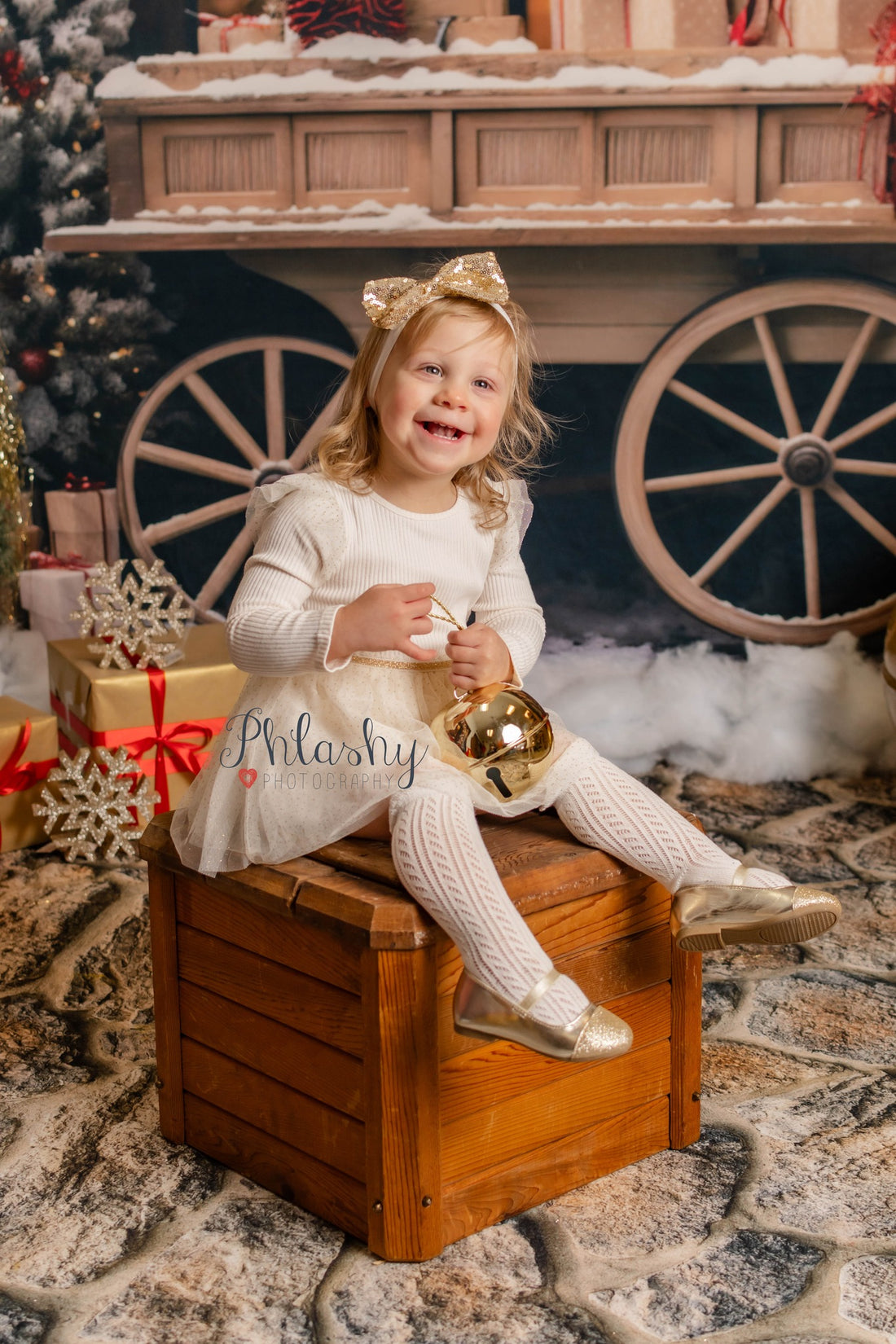 Avezano Christmas Wagon Gift Photography Backdrop