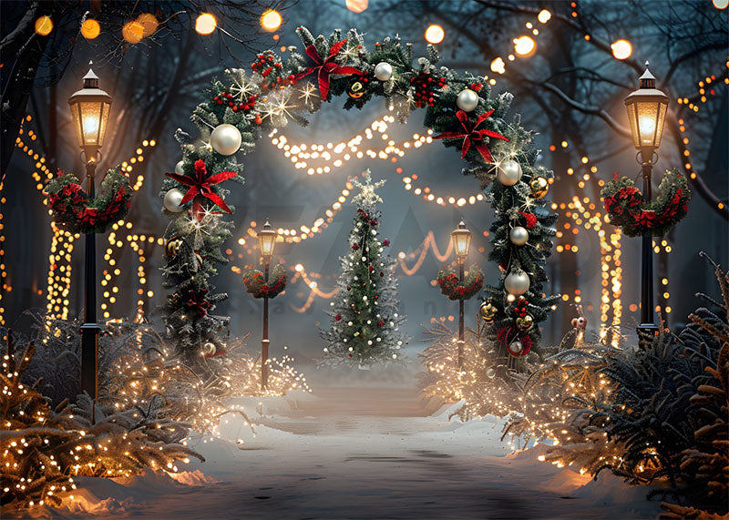 Avezano Christmas Arch at Night Photography Backdrop