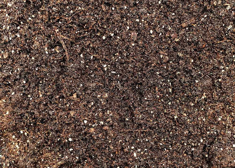 Avezano Dirt Floor Photography Background