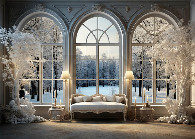 Avezano Winter living Room Window View Photography Backdrop