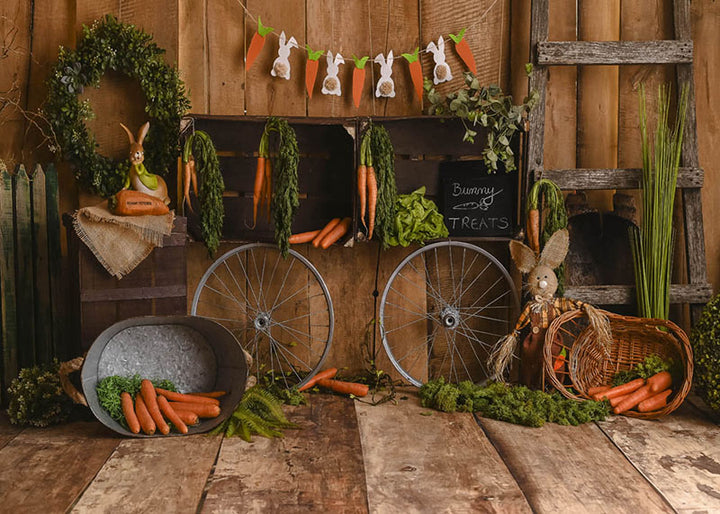 Avezano Easter Carrot Theme Photography Background-AVEZANO