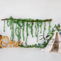 Avezano First Birthday Vine Tent Backdrop for Photography By Miwako Lucy Photography