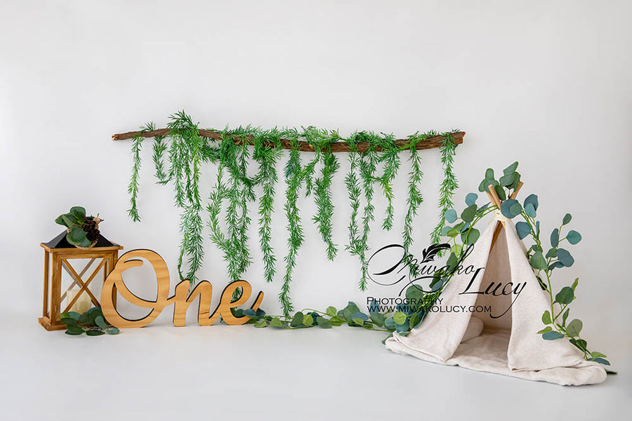 Avezano First Birthday Vine Tent Backdrop for Photography By Miwako Lucy Photography