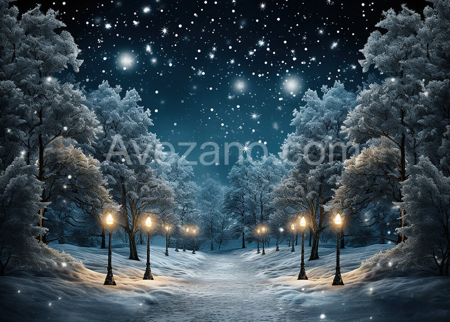 Avezano Snowy Woods at Night Photography Backdrop