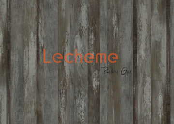 Avezano Grey Plank Floor Photography Backdrop By Lecheme Ruby Gu