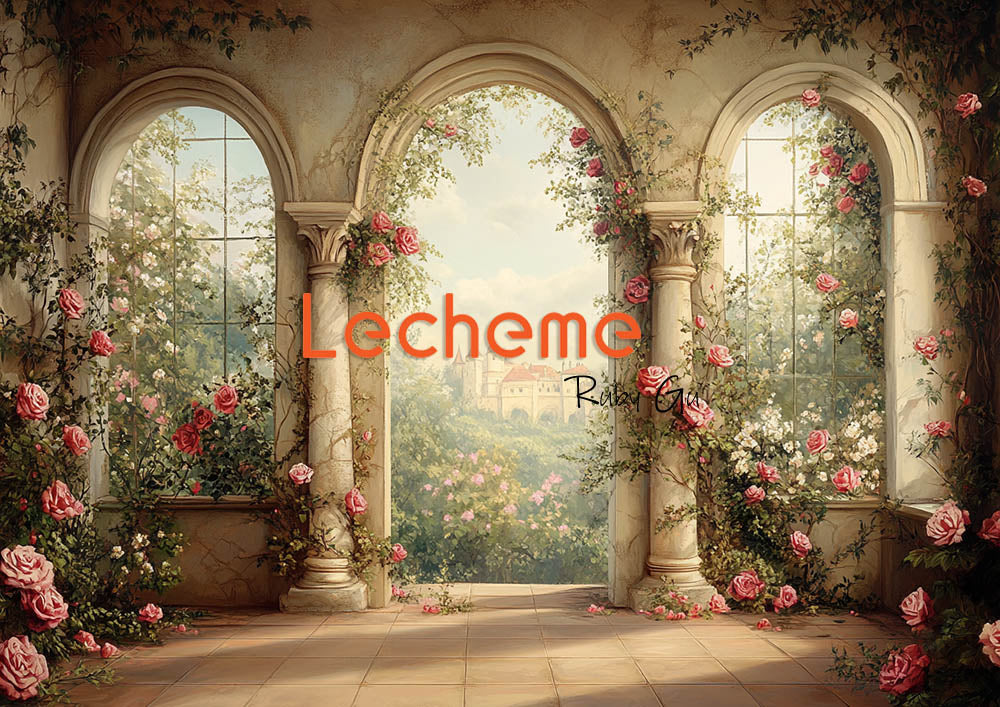 Avezano Beige Arch Bohemia Room Photography Backdrop By Lecheme Ruby Gu