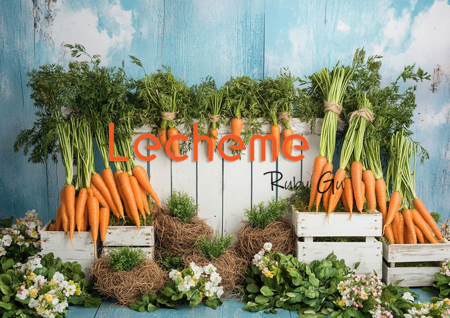 Avezano Spring Rural Life Fence Carrots and Flowers Blue Photography Backdrop By Lecheme Ruby Gu A