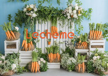 Avezano Spring Rural Life Fence Carrots and Flowers Blue Photography Backdrop By Lecheme Ruby Gu E