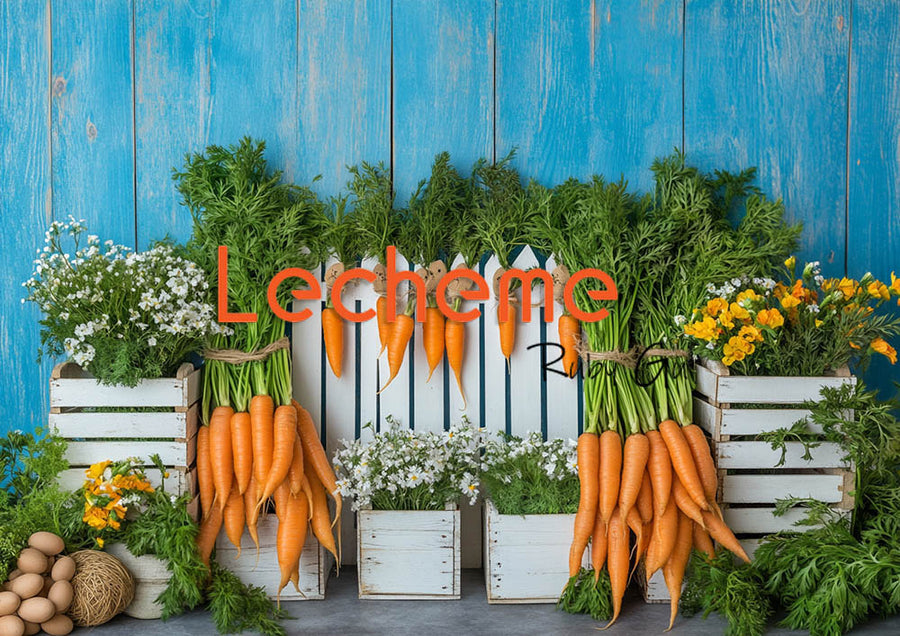 Avezano Spring Rural Life Fence Carrots and Flowers Blue Photography Backdrop By Lecheme Ruby Gu I