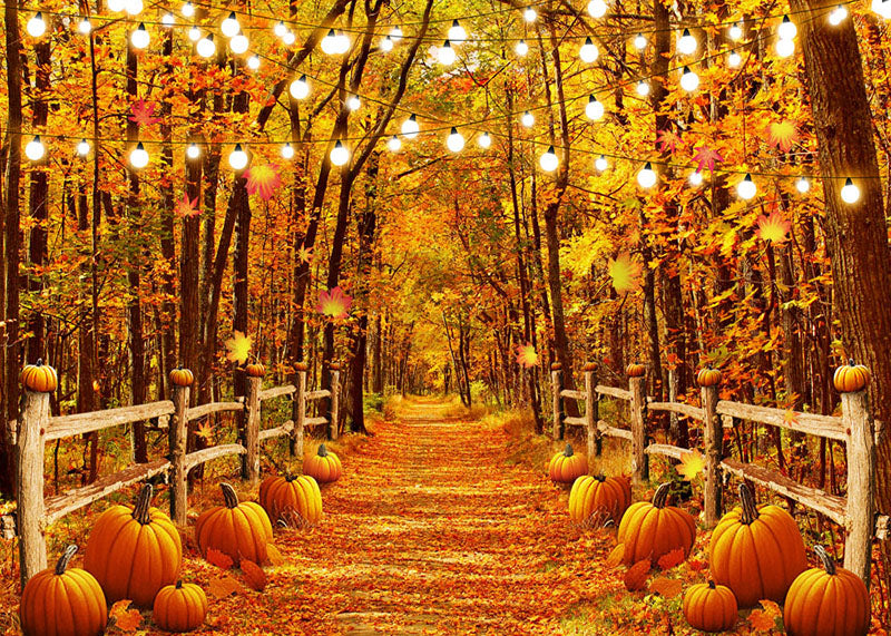 Avezano Autumn Pumpkin Deep Forest Photography Backdrop-AVEZANO