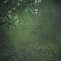 Avezano Spring green white flowers Pregnant Woman Photo Photography Backdrop