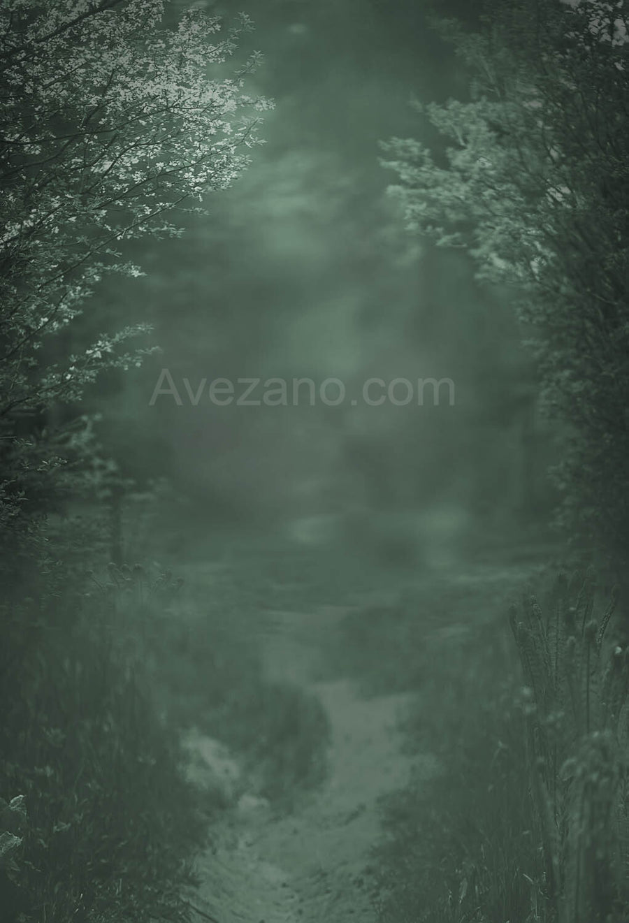 Avezano Spring Morning Path Pregnant Woman Photo Photography Backdrop