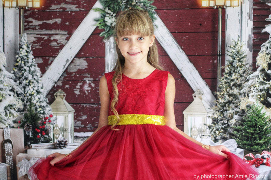 Avezano Christmas Snowy Red Wooden Door Backdrop For Photography