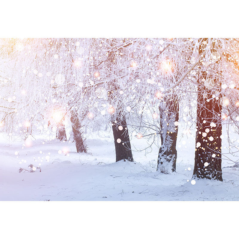 Avezano Winter Backdrop For Photograhy Custom Photo Backdrop