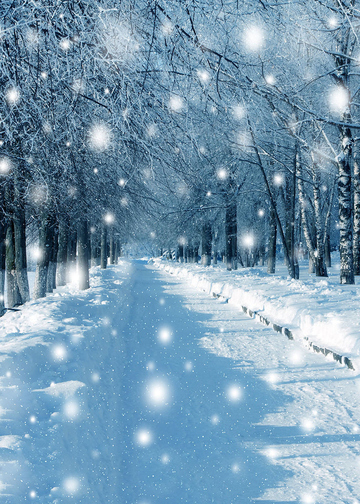 Avezano Beautiful Snow Scene Photography Background-AVEZANO