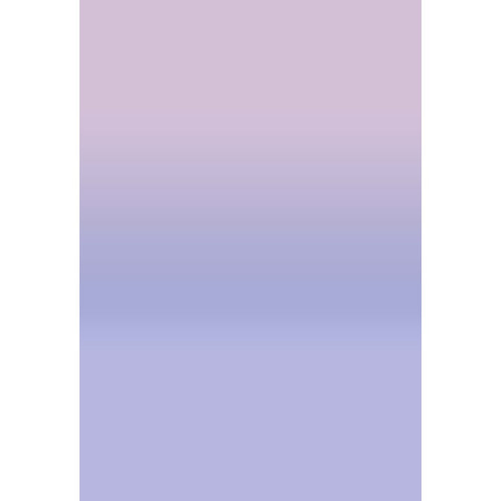 Avezano Pink Fades To Lavender Gradient Backdrop For Portrait Photography-AVEZANO