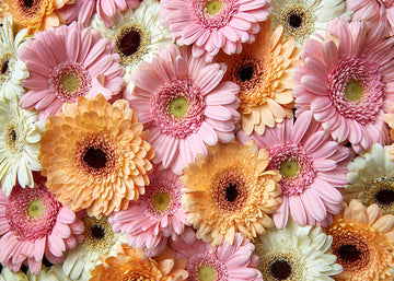 Avezano Colorful Flowers Photography Backdrop-AVEZANO