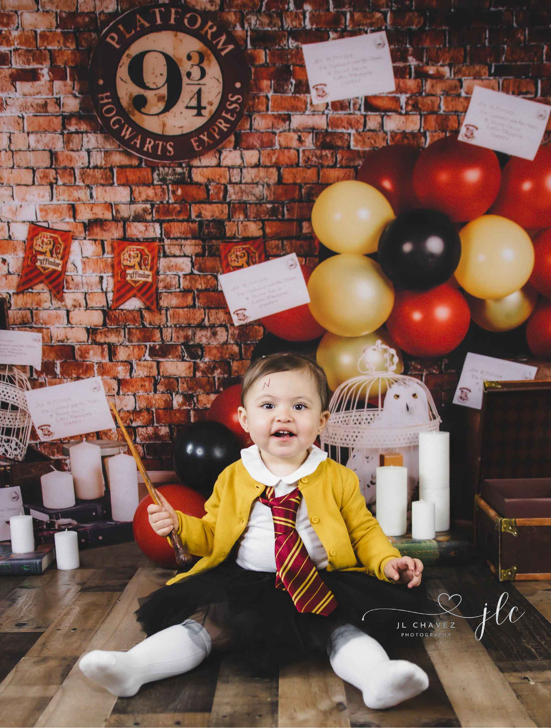 Harry Potter Birthday Party Ideas, Backdrops for Photography for